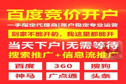 百度SEM广告投放的创意与执行：成功案例详解